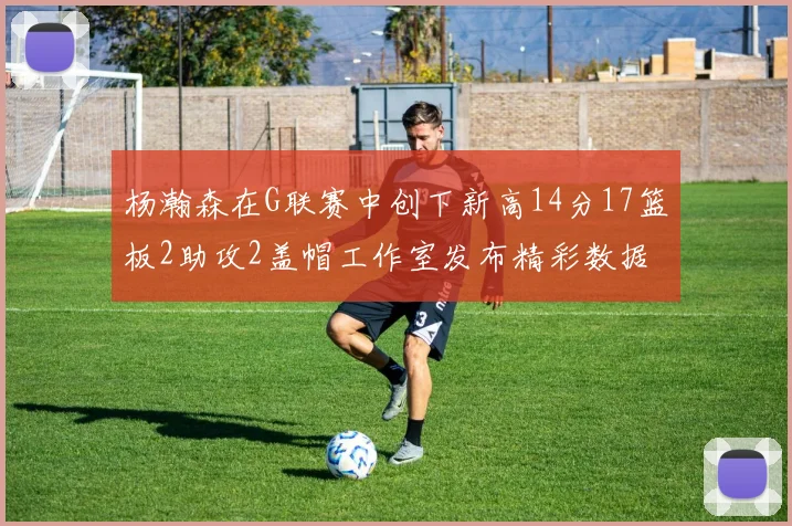 杨瀚森在G联赛中创下新高14分17篮板2助攻2盖帽工作室发布精彩数据海报