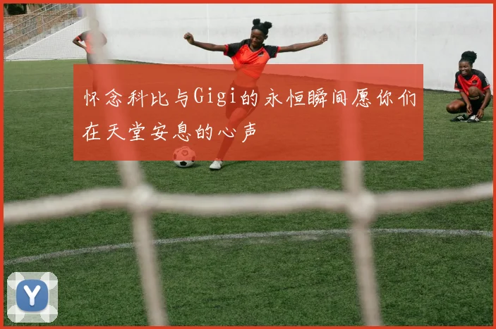 怀念科比与Gigi的永恒瞬间愿你们在天堂安息的心声